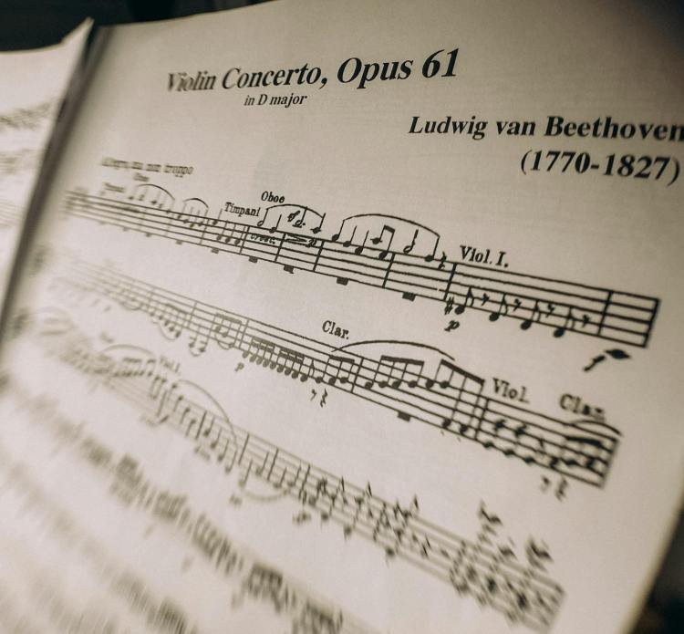 Todo Beethoven necesita una Anna&nbsp;Holtz